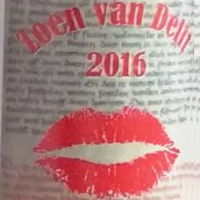 De Zoen van Delft 2016